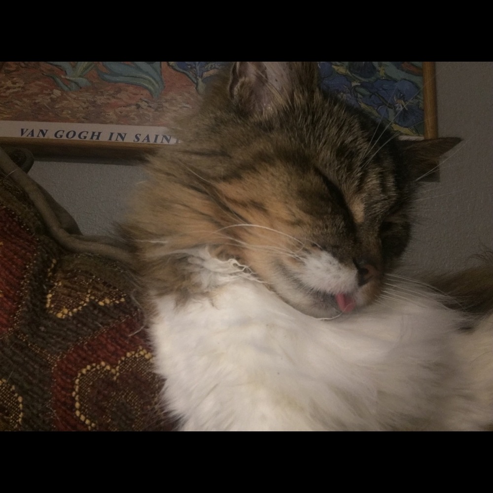 Meet your Posher, Audrey